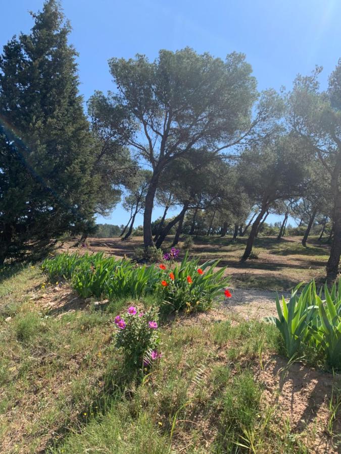 Un Soir Sous Les Etoiles Bed & Breakfast Chateauneuf-de-Gadagne Luaran gambar